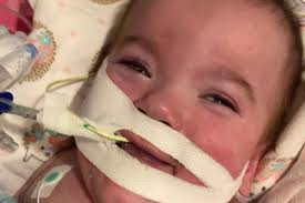 Fundraiser by Brian Stockinger : Nora Jane's Legacy Fund