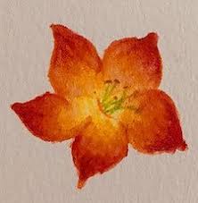 This peony drawing tutorial is easy enough for almost all ages and can be left black and white or filled in with gouache, watercolor, colored pencil or marker, even sharpie crafts! 7 Fun And Easy Watercolor Pencil Techniques Learn Today Your Art Box