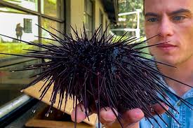 Slideshow: See how students' internships become life-guiding forces