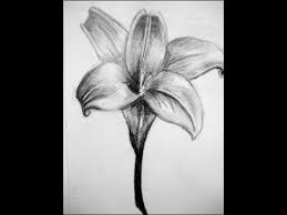 It looks like you're using artstation from europe. Realistic Drawing Of A Flower Novocom Top