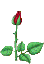 Search, discover and share your favorite animated flowers gifs animation online. Free Animated Flower Gifs Flower Clipart