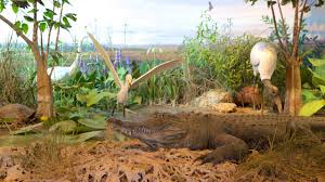 Ernest F. Coe Visitor Center Tours