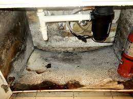 Unless a sink is well sealed, splashing water can seep between. 3 Ways To Tell You Have A Mold Problem Bioclean Remediation Llc