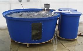 How To Choose The Right Fish Tank In Aquaponics Aquaponics For Beginners