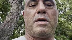 Rogan, the famous podcast host, comedian and ufc commentator, announced on wednesday that he recently tested for coronavirus after coming down with symptoms following a recent work trip. W3y Xkdgth Jam