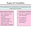 Peirce randomly assigned volunteers to a blinded repeated measures design to evaluate their ability to discriminate weights. Https Encrypted Tbn0 Gstatic Com Images Q Tbn And9gcsm9gmb Dxfp1nzdeuwtqqb7xzgy3hvvqjgljn X2z Vqraiuds Usqp Cau