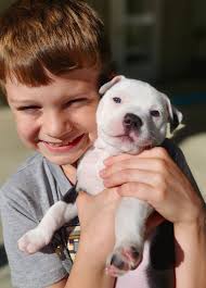 Very promising girl for active owners