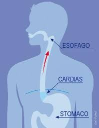 I principali metodi di diagnosi della malattia da reflusso gastroesofageo sono esame a raggi x dell'esofago, esofagoscopia, la scintigrafia con tecnezio radioattivo, studio calibro sfinteri esofageo. Il Legame Tra Reflusso Asma E Rinosinusite Allergologo Net