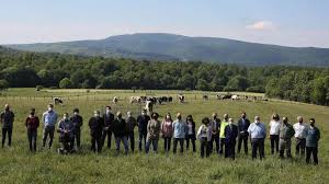 Pastoreo ecológico, medio rural y empleo social en Orreaga/Roncesvalles
