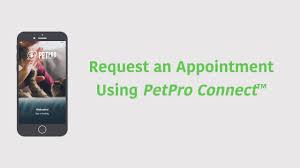 Check spelling or type a new query. Request An Appointment Using Petpro Connect Youtube