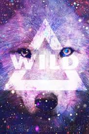 Download hd wallpapers for free on unsplash. Wolf Wallpaper Wolf Wallpaper Wolf Background Hipster Wallpaper