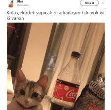 Anlamli Komik Eglenceli Mizah Komik Komik Kediler