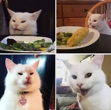 Smudge Lord Il Gatto Del Momento Smudgelord Gatto Schifomado Meme Igatticonquisterannoilmondo Fa Cute Little Kittens White Cat Meme Cute Funny Animals