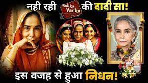 Surekha sikri best title track lalit sen best teleplay purnendu shekhar, gajra kottary, rajesh dubey best dialogue usha dixit best videography sanjay memane, anil katke 2010 best actress drama surekha sikri best child artist avika gor gr8! Pofdsqcaxvchbm