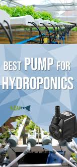 Beste Wasserpumpe Fur Hydroponic Aquaponic Grossenanleitung Timer Setup In 2020 Hydroponics Setup Hydroponics Diy Hydroponic Pump