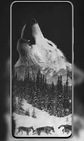 White and black wolf | wolf love, wolf mates, wolf photos. Download Black Wolf Wallpaper 4k Hd Backgrounds Free For Android Black Wolf Wallpaper 4k Hd Backgrounds Apk Download Steprimo Com