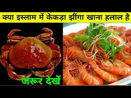 The same goes for haram and makruh acts; Kya Islam Main Kekra Aur Jhinga Khana Halal Hai Ya Haram Dekhiye Is Video Main Imanitakatchannel Youtube