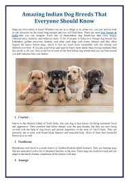 Pugs or some might say vodafone dog is one of the popular dogs in india right now after labrador. Amazing Indian Dog Breeds That Everyone Should Know By Dogexpress Issuu