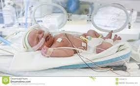 2 749 Baby Incubator Photos Free Royalty Free Stock Photos From Dreamstime