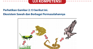 Versicherter versand bereits ab 3,50 € innerhalb deutschlands. Lengkap Kunci Jawaban Buku Paket Ipa Kelas 7 Semester 2 Halaman 44 45 46 Kurikulum 2013 Kunci Jawaban Buku Paket Terbaru Lengkap Bukupaket