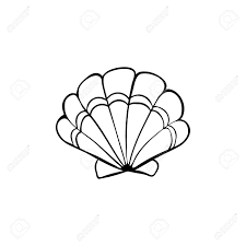 First draw two shapes that are shaped like baseball fields and then add the guidelines in the middle. Hand Gezeichnet Meer Shell Scallop Umriss Seashell Symbol In Schwarz Auf Weissem Hintergrund Lizenzfrei Nutzbare Vektorgrafiken Clip Arts Illustrationen Image 55855340