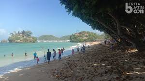 Coral coral juga disebut sebagai otak lipat, atau karang kawah dan merupakan karang polip. Wisata Pantai Balekambang Dibuka Pengunjung Wajib Taati Prokes Beritajatim Com