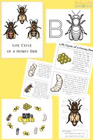 You can use a hair drier as a wind source to see if the wing design provides enough surface area to spin the unit. How To Make A Mason Bee Habitat Perfect Life Cycle Of A Bee Activities Natural Beach Living