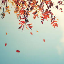 Echa un vistazo a los 6.217 vídeos y fotos auténticos que los miembros de tripadvisor han tomado de monumentos, hoteles y atracciones de niort. Niort Tous Les Avis De Deces Et D Obseques En Ligne Ouest France