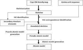 Health conditions related to chromosomal . Basics Of Proteomics Book Chapter Iopscience