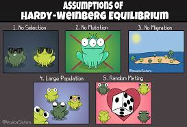Try this amazing amoeba sisters: The Amoeba Sisters How To Use The Foil Method On A Dihybrid Cross