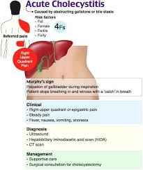 Pin By Nathalie Destin On Nursing Education Medical Surgical Nursing Nurse Practitioner School Gastrointestinal Nursing