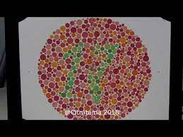 There is no this kind of video in the world. Videoslide Of Color Blindness Test Book 38 Plates Youtube