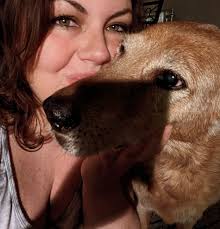 can anyone remove the shadow from this photo of my dog?