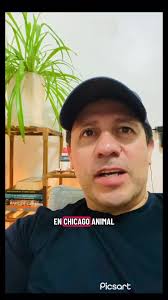 Adopciones sin Cargos en Chicago: ¡Adopta Local!