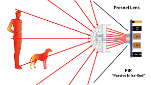 If the motion sensor detects an increase in infrared energy, meaning someone has approached the sensor or. How Pir Sensor Works And How To Use It With Arduino