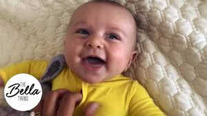 We did not find results for: Birdie Joe Looks Snug As A Bug In A Rug On Her First Airplane Flight Youtube