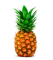 Pineapple Png Hd Pineapple Png Image Free Download Searchpng Com Juice smoothie pineapple fruit canning, pineapple fruit pineapple, orange pineapple fruit png clipart. pineapple png hd pineapple png image