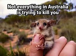 Funny Animal Pictures Of The Day 24 Pics Cute Animals Funny Animals Funny Animal Pictures