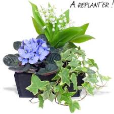 Avec bebloom, faites livrer de sublimes. Bouquet De Muguet Du 1er Mai Livraison En 4 H 123fleurs