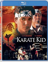 Quot First Learn Stand Then Learn Fly Nature Rule Daniel San Not Mine Quot Mr Miyagi As A Chil Kids Movie Poster Karate Kid Movie Kids Movies