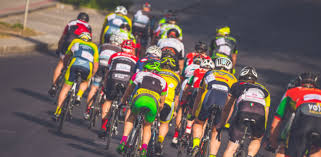 Triestina's is a family favorite. Vilnius Lithuania ç¤¾åœ˜ Wilier Triestina Lt Strava