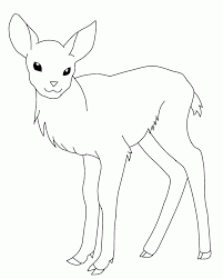 The female bald eagle was released after more than seven weeks of. Buck And Doe Coloring Pages Coloring Home