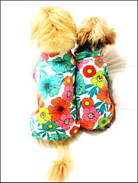 Hawaii Kopek Gomlegi Dog Dogfashion Petfashion Www Kemique Com Kopek Minder Urunler