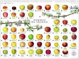 Pin On Eats Apple Season
