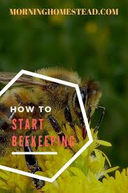 Here is a preview of what you'll learn Here Are Some Common Questions How To Start Beekeeping How Much Does It Cost To Start Beekeeping Ho Bee Keeping How To Start Beekeeping Starting A Beehive