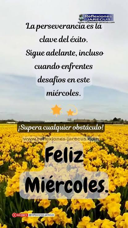 Feliz miércoles. La perseverancia es la clave del éxito | Feliz miercoles motivador, Miércoles positivo frases