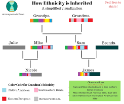 The 50% dna inheritance rule uses the autosomal dna patterns where you have 50% of both your mother and father's dna. How Many Generations Back Is 2 Dna Who Are You Made Of