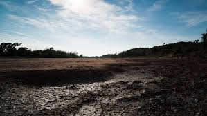 Pin On African Landscape Scenes Shutterstock Stock Footage