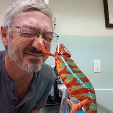 TOP 10 BEST Livestock Veterinary Care in Kendall, FL