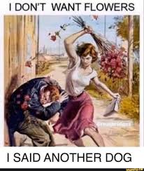 Check spelling or type a new query. I Don T Want Flowers I Said Another Dog